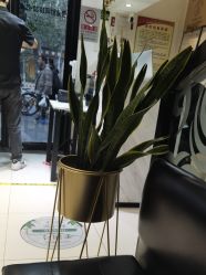 -LJOY丽锦造型·烫发染发