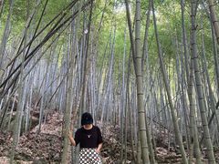 -百杖潭景区