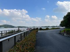 -上海月湖雕塑公园