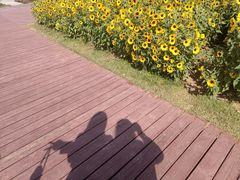 -海心沙亚运公园