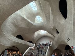 -美国自然历史博物馆