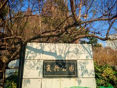 -复兴公园