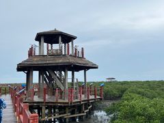 -北海金海湾红树林生态旅游区