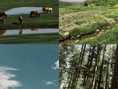 -芦芽山旅游度假区