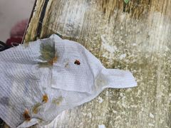 -清真-戏楼王记牛肉面