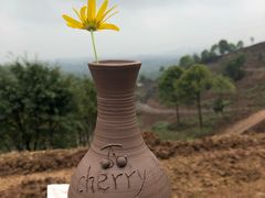 -远山有窑