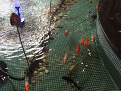 -水晶之星洗浴温泉汗蒸