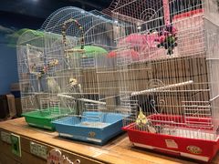 -龟与熊猫宠物公园(南坪店)