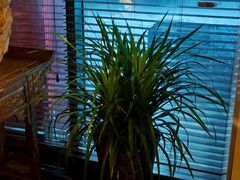 -足本纪·足道 SPA 简餐 小吃(文三西路店)