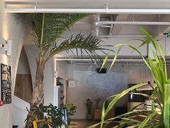 -长春藤咖啡(北园店)