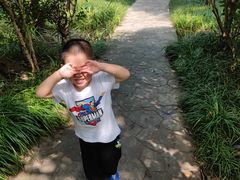 -上海长兴岛郊野公园