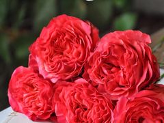 -誉八仙酒楼(静安大悦城店)