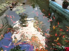 -厦门宝龙铂尔曼大酒店·龙之渊中餐厅