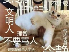 -1点点(三阳广场店)