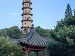-江心屿景区