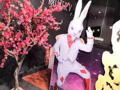 -爱丽丝冒险奇遇记