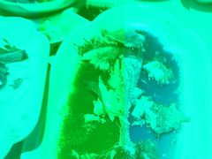 -大鸭梨烤鸭(枣园店)