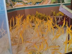 -子昂故里文化旅游区