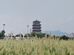 -门城湖公园