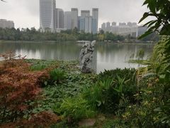 -洛龙公园