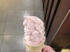 -麦当劳(曲阳店)