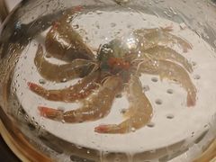 -优食坊·蒸汽海鲜(康盛路店)