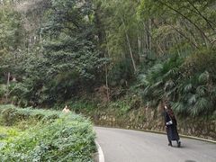 -团城山公园