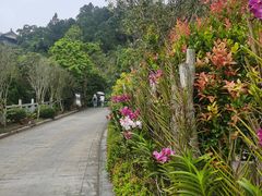-海南文笔峰盘古文化旅游区