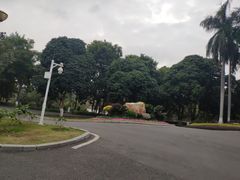 -东莞市大岭山森林公园