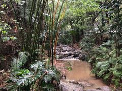 -滴水岩森林公园