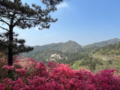 -木兰云雾山