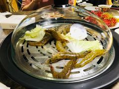 -日进一片海.生腌海鲜火锅.宵夜烧烤(三里屯总店)