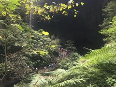 -小洲村