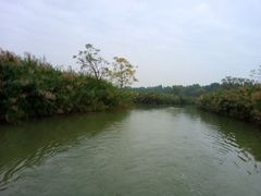 -大湾区中央湿地公园