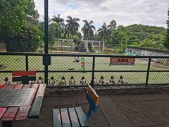 -观澜湖生态运动公社