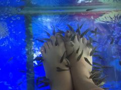 -青岛东方影都融创水世界