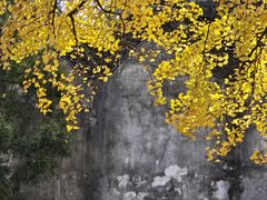 -无锡惠山寺