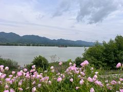 -东梓关景区村庄