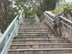 -凤厨顺德水乡凤味馆(大良锦龙路店)