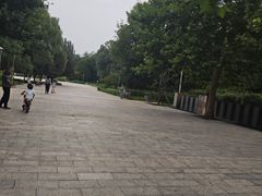 -望湖公园
