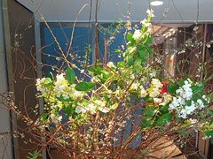 -顺峰(农展馆店)