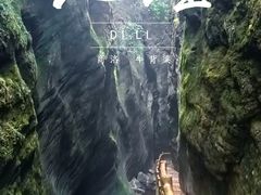 -牛背梁国家森林公园