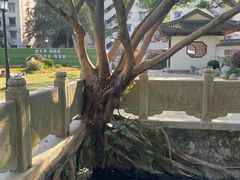 -墨池公园