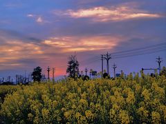 -中国天府农业博览园