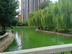 -团结湖公园