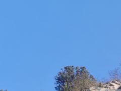 -佛慧山