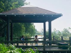 -金鸡湖桃花岛