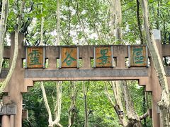 -灵谷景区
