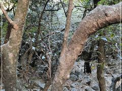 -萍乡武功山风景名胜区