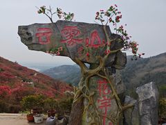 -木兰云雾山